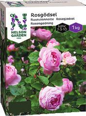 Imponera med vackra rosor Rosor är förföriskt vackra och flertalet doftar vidunderligt