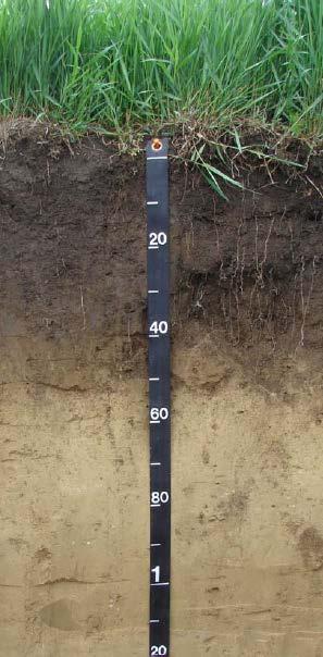 fertile soil is at the heart of food security Jones et al. (2012) The state of soil in Europe. Report EUR 25186 EN. JRC, Ispra, Italy.