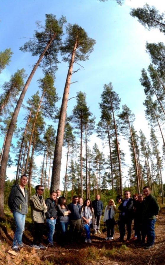 Hur stor är en lucka som upplevs som ett hygge? Luckor med en diameter som överstiger en eller ett par trädhöjder innebär att mikroklimatet i luckan blir detsamma som på ett större hygge.