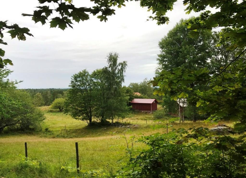 Steg 3. Kunskapsbaserat lärande för intressenter baserat på kunskaper om var olika värden finns. 5.2.6 Kulturlandskapet med bete och slåtter Tiveden är inte bara skog och vatten.