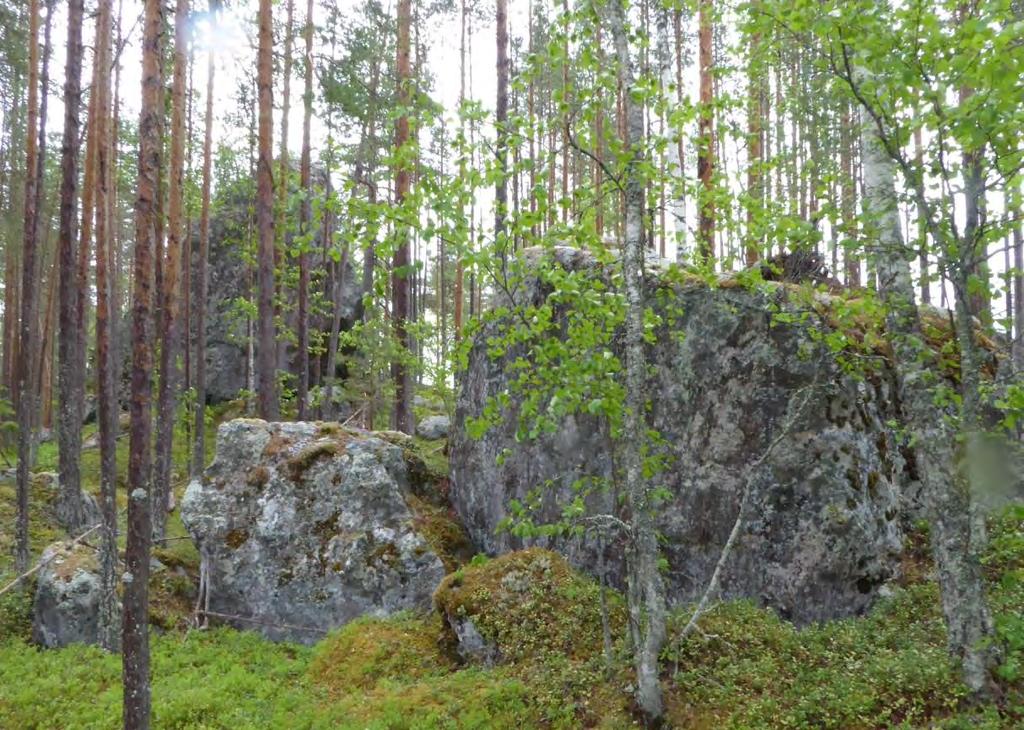 Delområde 14 Ett område med en anhopning av enormt stora block, visst bevarandevärde på grund av det säregna landskapet.