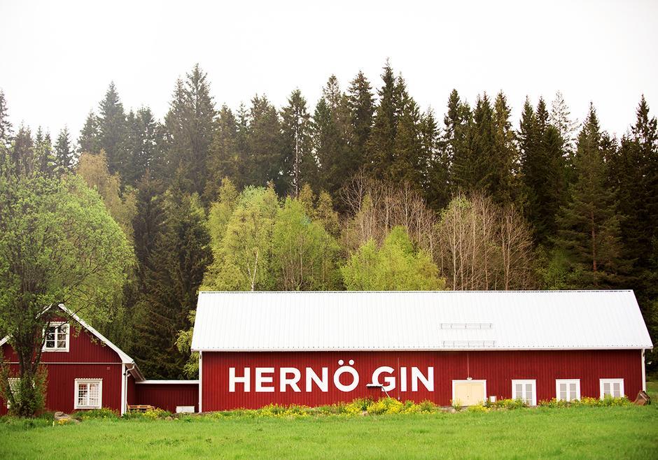 Sagan om världens bästa gin Hernö Gin. Utvecklingen för Hernö Gin har gått snabbt. Bolaget grundades 2011, lanserade sin första gin 2012 och tog sin första Gin Grand Master 2013.
