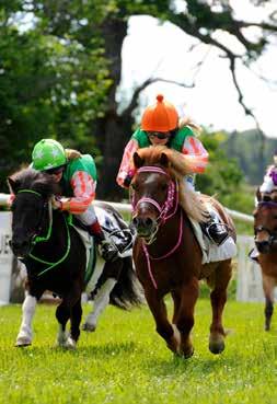 TIPS ÖVRIGA LOPP GÖTEBORG BANKOD 45 TIPS AV ULF ZEIDER PONNYGALOPP Lopp 1 Treårige 12 Madi Banja (e Eishin Dunkirk) gick ett förvånansvärt starkt lopp som fyra i tävlingsdebuten på Bro Park.