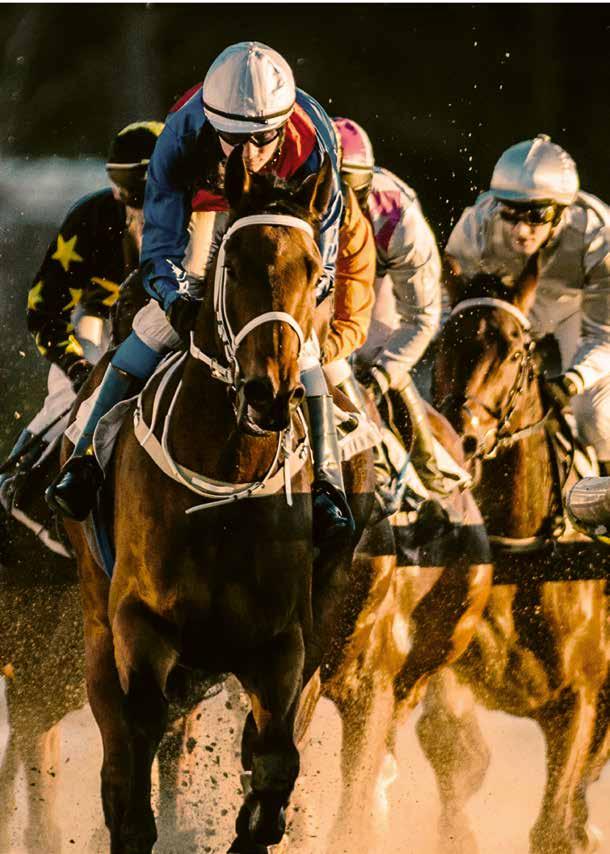 Hur går det till på en tävlingsdag? JACKPOT! Åldersgräns 18 år. Stödlinjen 020-81 91 00. När hästen anländer till Göteborg Galopp finns det en anvisad box som hästen skall stå i under tävlingsdagen.