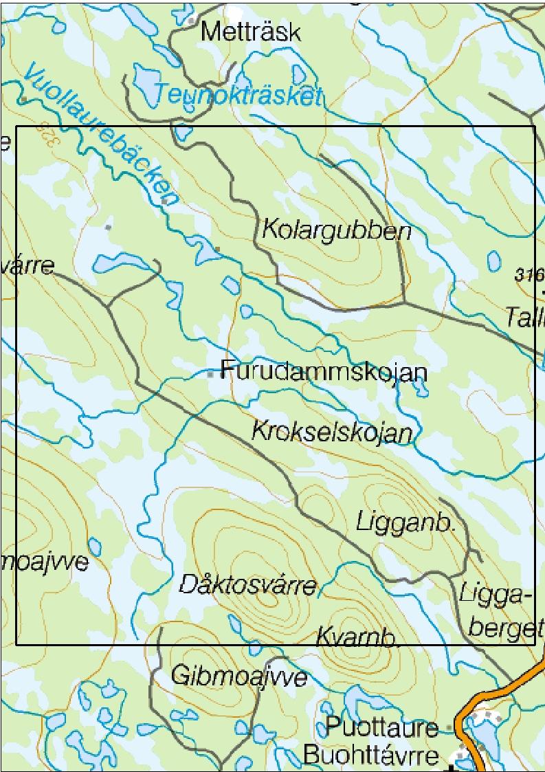 Dvärgsparv Svart vedblomfluga Bälttigerfluga Mikroskapania