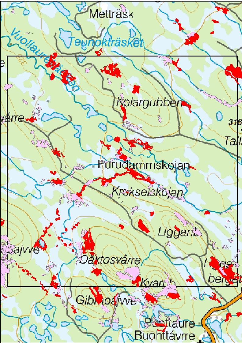 Dvärgsparv Svart vedblomfluga Bälttigerfluga Mikroskapania