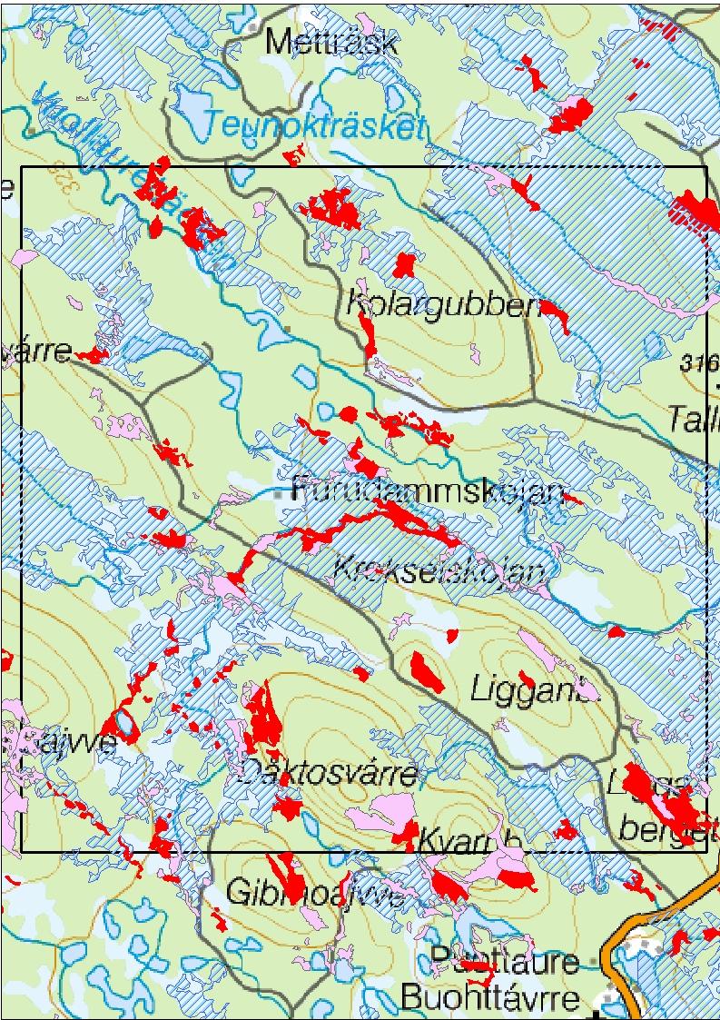 Dvärgsparv Svart vedblomfluga Bälttigerfluga Mikroskapania