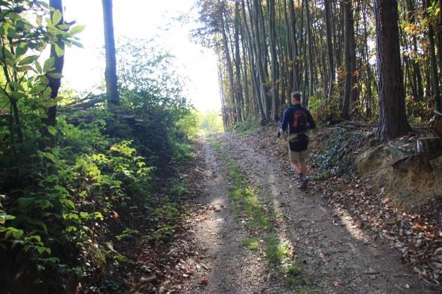 Bästa av Barbaresco Al Barolo, Alba - Alba, 7 nätter 3(6) Nattens boende ligger ca 2 km utanför den lilla byn Benevello. Sammanlagd höjdmeter, stigning: 550 m, sänkning: 510 m.