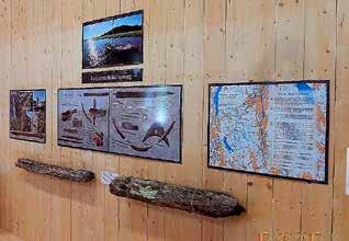 Förutom de permanenta utställningarna om båtbyggeri, säljakt, strömmingsfiske och flottning i Malax å visades följande sommarutställningar: Årets stora utställning var Jungfrudanser i Österbotten
