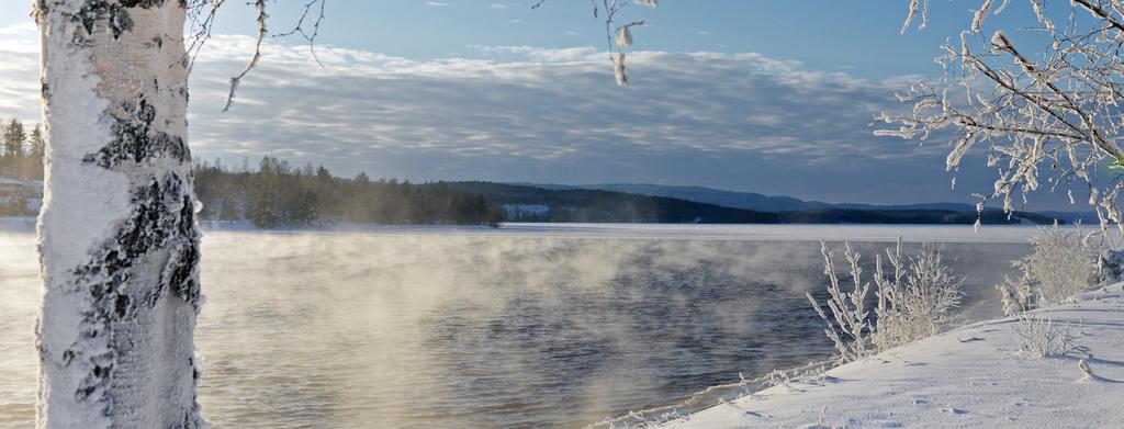 Under året städade 1850 barn och vuxna bort skräp längs fyra av våra älvar. Totalt deltog 75 föreningar.