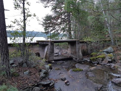 Men i vissa fall finns det dammar som inte längre reglerar vattnet och där ser vi på Fortum att det resulterar i en större miljönytta att riva ut dem.