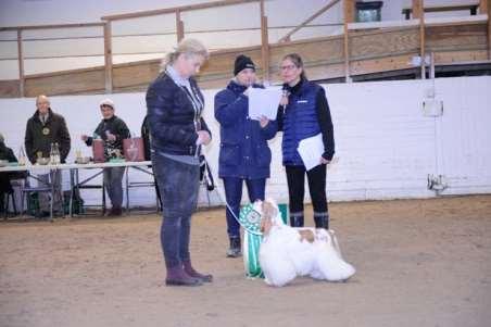 David, Årsunda, Ägare Andersson Jenny, Fjärdhundra 4 Amerikansk cocker spaniel Freixenet's Olympic Game SE20699/2018 VR FÖDD 2018-02-11, E.