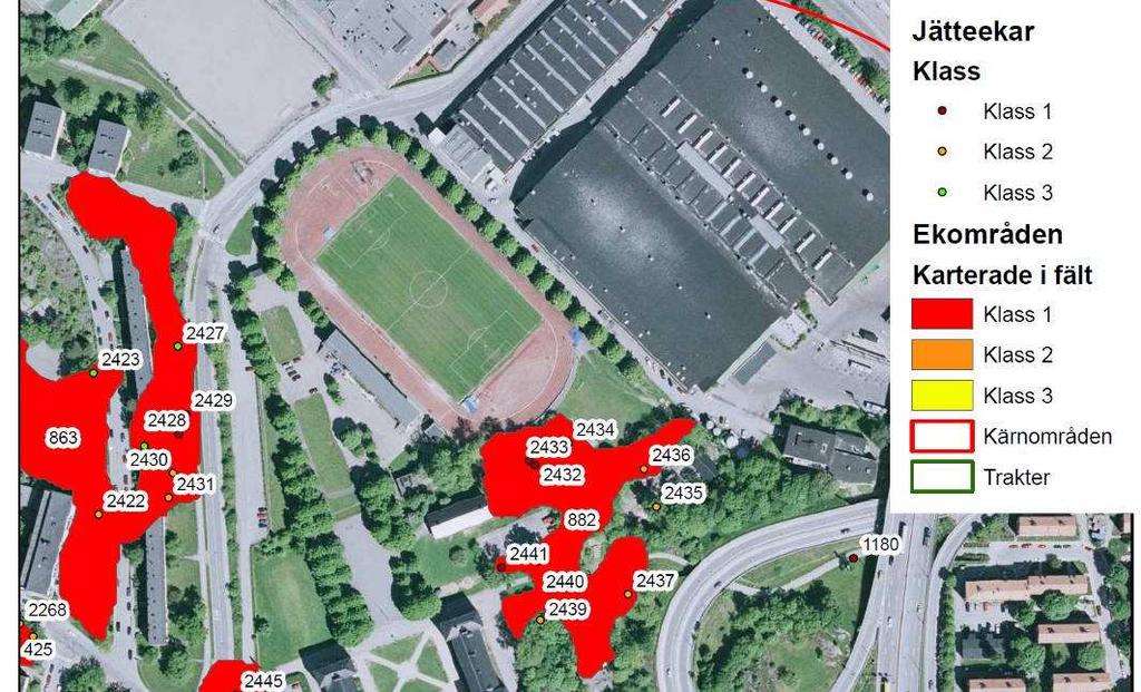 SID 7 (28) Karta från Ekdatabasen 2007 visar större ekar med en diameter om över 1,0 meter. Område som föreslås bebyggas i kommande detaljplaner markeras med streckad linje.