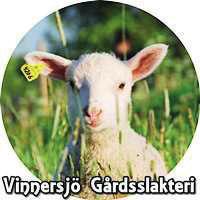 installerar och driftsätter ansiktsmålning för bollkastning, köpa.