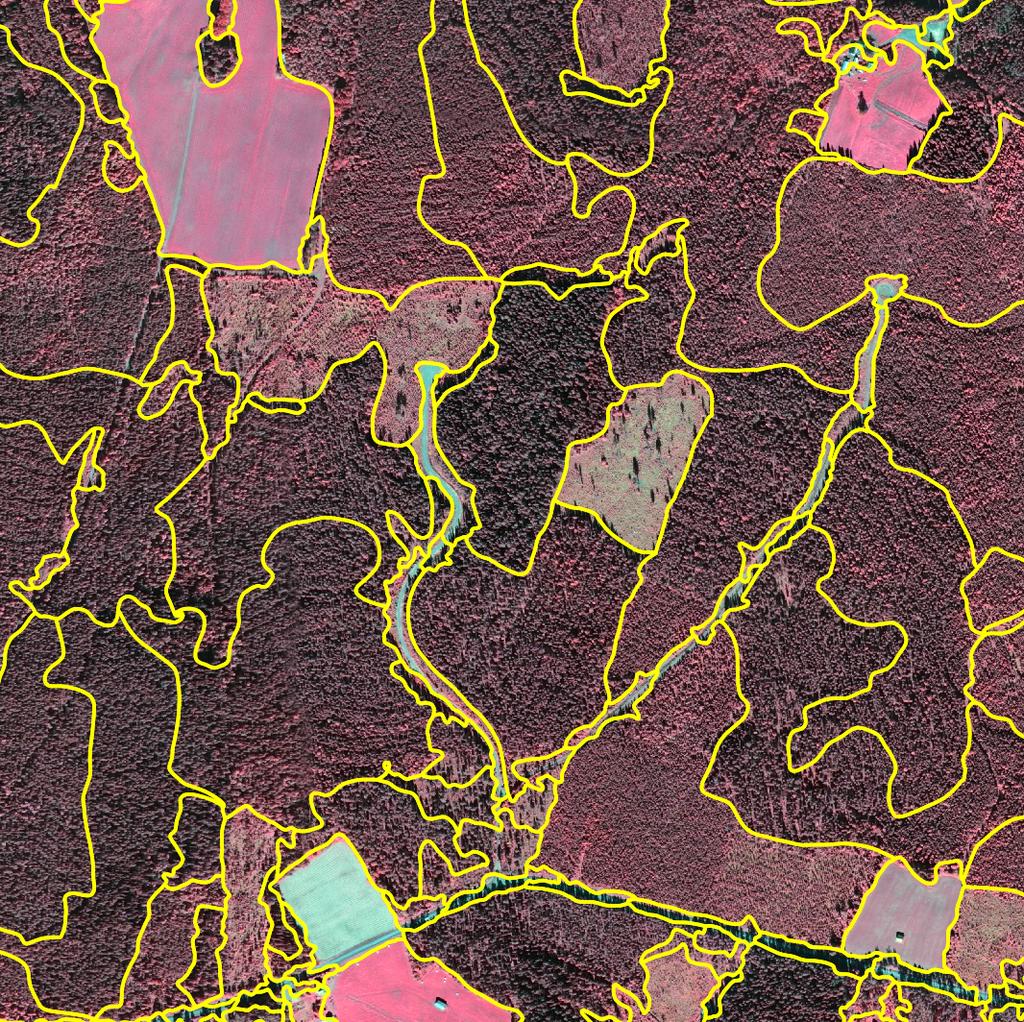 Resultatet från en automatisk beståndsavgränsning med hjälp av laserdata och en digital flygbild över ett skogsområde i närheten av Hölje, Jämtland.