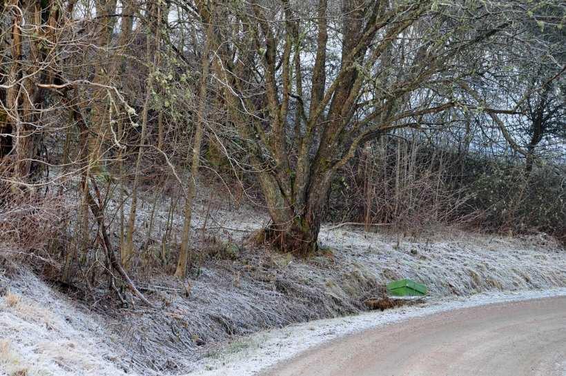 Delområde B Området är snårigt med mycket uppslag av löv. Klass 3 Lämnas för fri utveckling. Delområde C Området är en förlängning av en nyckelbiotop som börjar på andra sidan vägen.