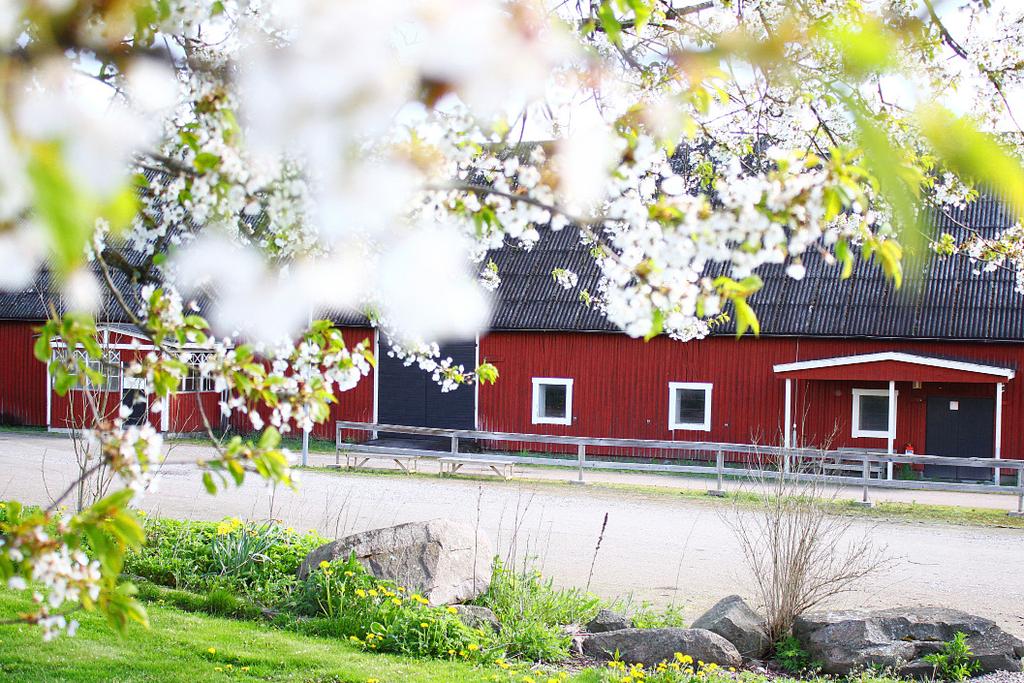Sofia M Porle, Fredag 14/6 09:00 Skolavslutning Ljungfälle träningsskola 10:00 Skolavslutning Ljungfälle grundsärskola 17:00 Söndagsmässa Sofia M Porle, Maria I Berg Kristi himmelsfärds dag 30/5