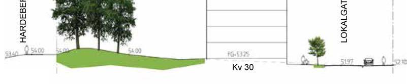 PLANBESKRIVNING 38 (51) Sektion från nord till syd genom Hardebergaspåret och kvarter 30, från PM Vegetation 2015-06-12, ADahl samhällsplanering AB.