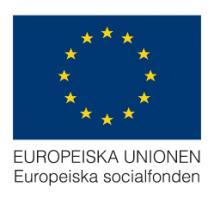 2016-02-15 2016/00078 Insatser inom Europeiska regionalfonden, ERUF Projekt i denna utlysning kan innehålla aktiviteter som faller inom ramen för Europeiska regionala utvecklingsfonden.
