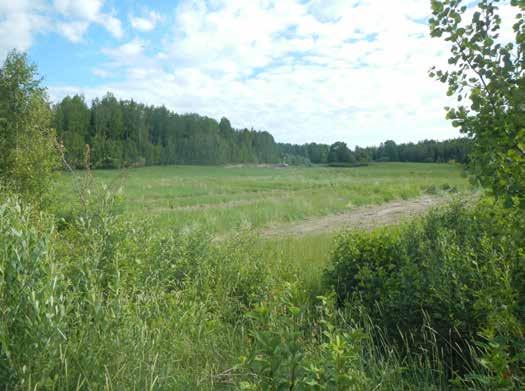 Luvsjön Arkeologisk förundersökning Fornlämning Östra Vingåker 222 och 223.