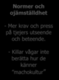 Normer och ojämställdhet - Mer krav