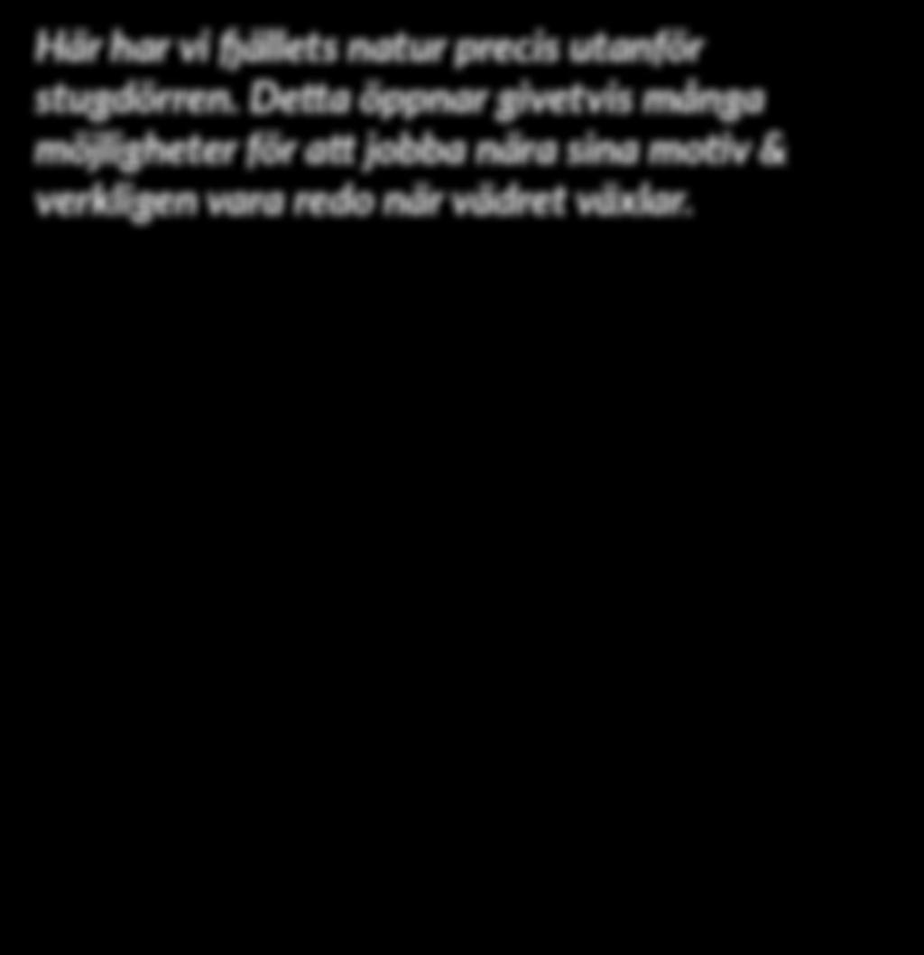 Detta öppnar givetvis många möjligheter