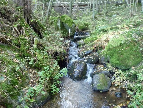 Dessutom gör grundvattenförsörjningen att sommarflödet i bäcken bör bli tämligen rikligt och kallt i dess övre delar.