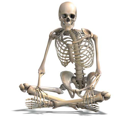 Denna broschyr erbjuder sin läsare en upptäcktsresa i skeletthälsa. Broschyren lämpar sig för alla som är intresserade av skeletthälsa samt som första information för dem som insjuknat i osteoporos.