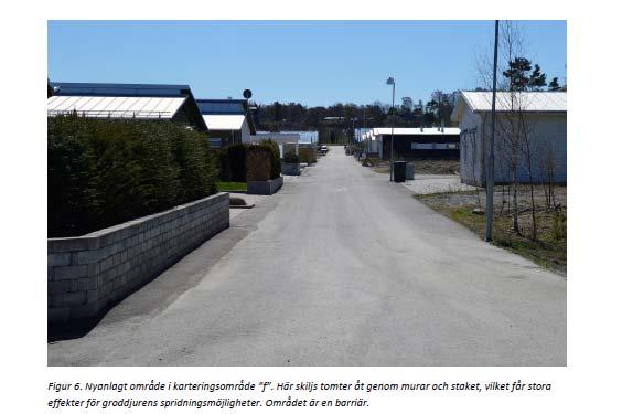 5. Fördjupad