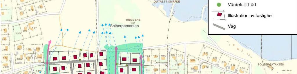 tomter -
