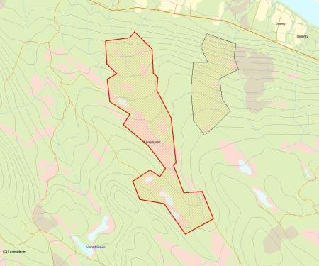 Länsstyrelsens bedömning Västra Havsträsks urskogsartade sumpskogar och lövbrännemiljöer har redan idag höga naturvärden, och dessa kommer de närmaste decennierna att öka ytterligare i värde genom