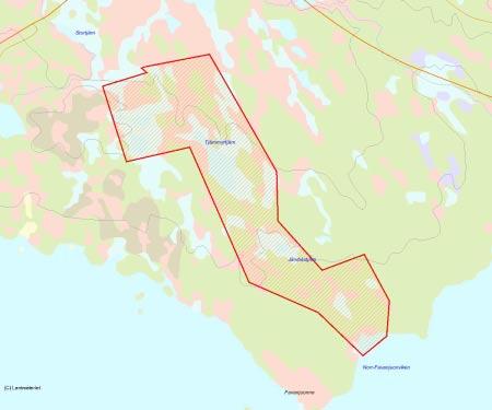 Länsstyrelsens bedömning Skogen i området är urskogsartad med rikligt av 200-400-åriga, slanka tallar. Området har en fin mosaikartad struktur med urskogsartad skog, myr och småtjärnar.