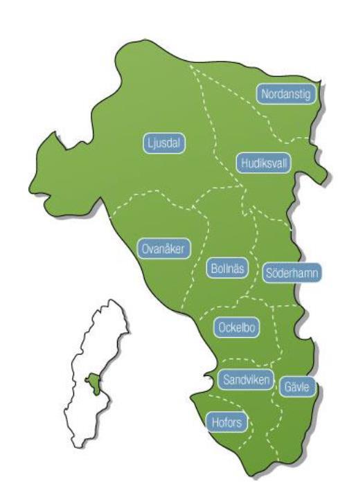 REGIONALT SAMARBETE Region Gävleborg