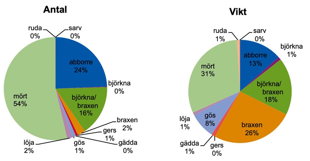 Figur 2. Artsammansättning i antal och vikt vid provfisket i Måsnaren augusti 2018. Totalfångst per nätansträngning Totalt fångades 6493 fiskar som tillsammans vägde 111,9 kg i de 24 bottennäten.