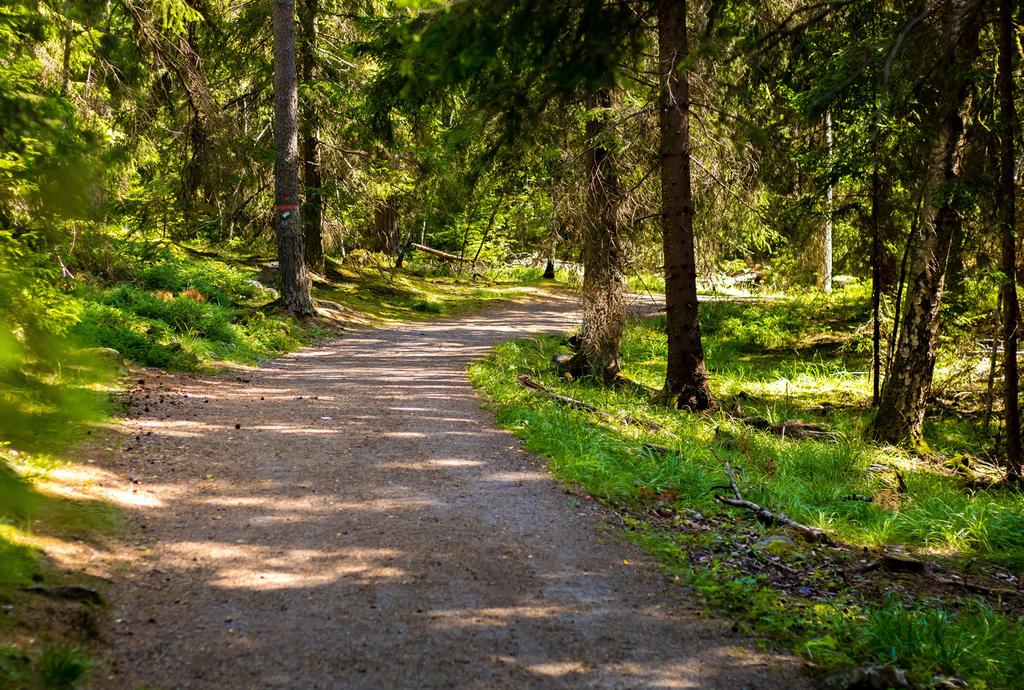 Vi är det rödgröna a lternativet A lla nu levande människor och kommande generationer ska ha rätt till ren luft, rent vatten, säkra livsmedel och tillgång till natur med bibehållen biologisk mångfald.