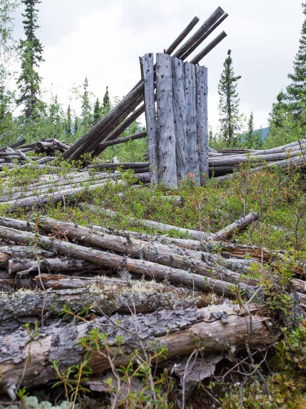 A FAR CRY Grizzly Bear Creek to Nahanni Boundary 53-72 km In 1979, Chris Larkin got dropped off on a small lake near the Broken Skull River.