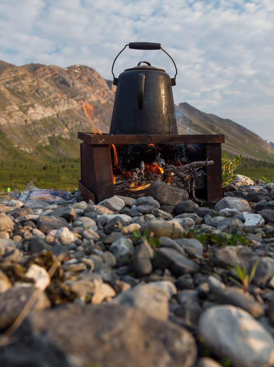 COOKING AND CAMPFIRES Minimize Campfire Impacts On your first few days on the river, you'll be struck by the beauty of the canyons, the mountains and the nearly non-existent driftwood supply.