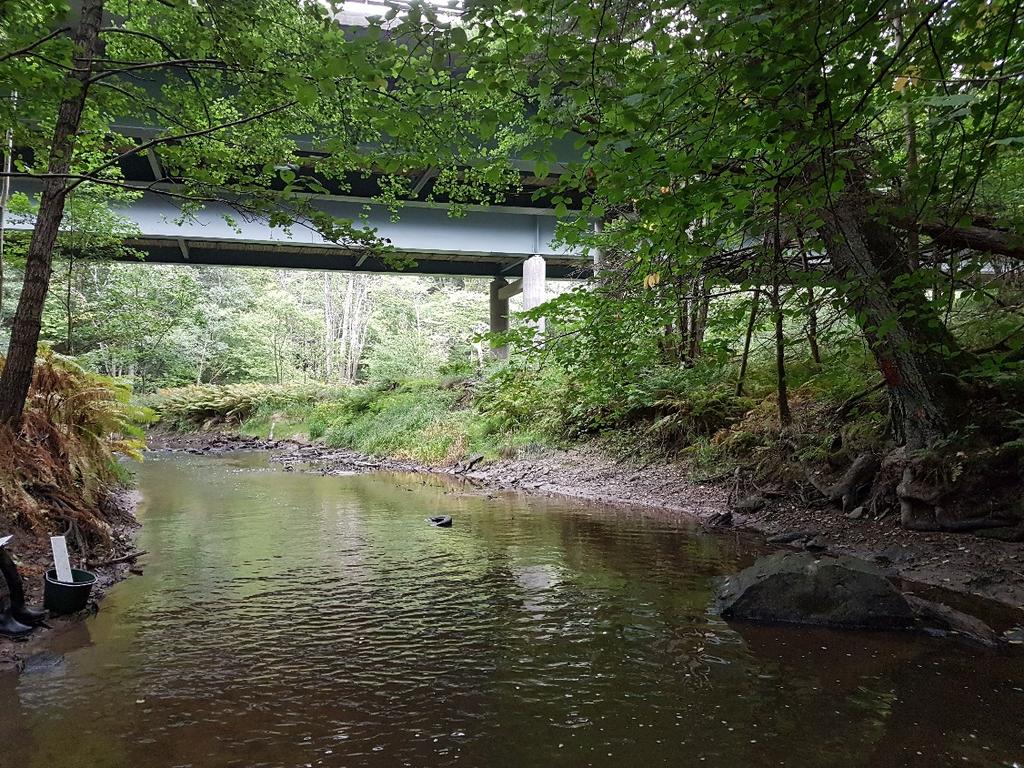 3. Resultat 3.1. Bratteforsån Bratteforsån inverterades 2016-09-09, vattenföringen var mycket lågt och vädret var mulet. Vattendraget är beläget i kommunerna Uddevalla och Stenungssund.