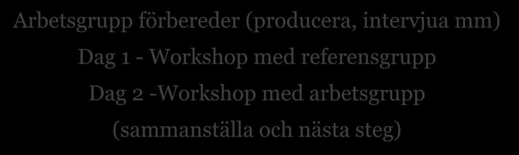 FÖRSLAG TILL ARBETSSÄTT - 2013 2013 2014 feb, mar, apr, maj - remiss aug, sep, okt, nov - remiss Arbetsgrupp förbereder