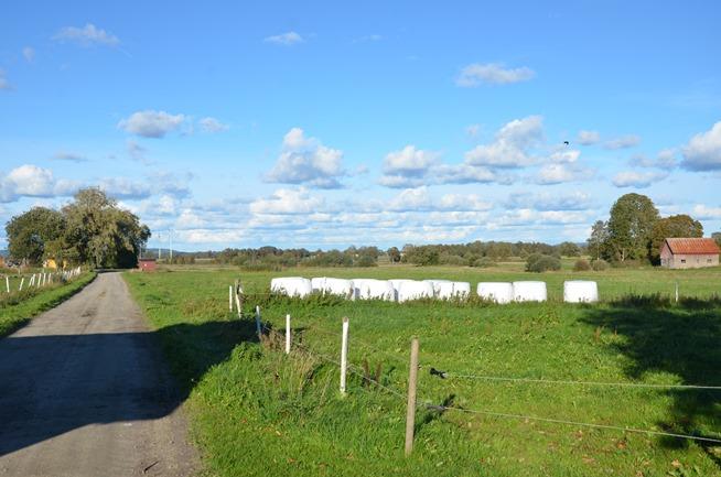 Häststall Lösdrift Häststall