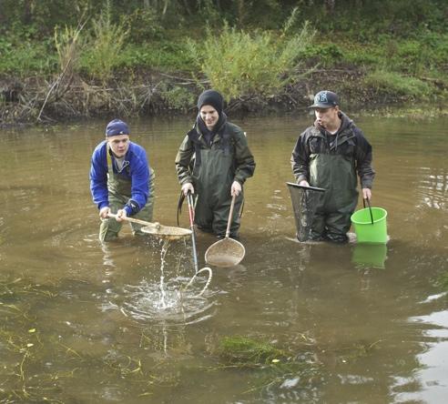 Gäddodling och utsättande av gädda vid Finjasjön 2012 och 2013 Gäddodling 2012 Lärare och elever från Naturbruksgymnasiet har odlat gäddor i en damm intill Finjasjön under 2012 och 2013.