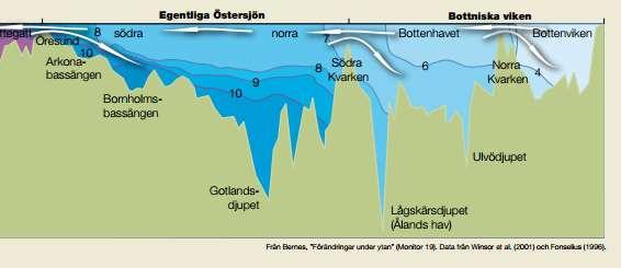 Larsson, Wikner,