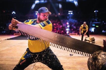 Solceller på villatak Speed dating för dig som söke Arbetsgivare finns här med Genvägar till köksträdgården Jumping-uppvisning Bärra-Disco PROGRAMPUNKT