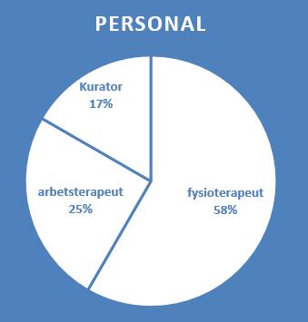 Arbetsterapeut, ca 20%,Fysioterapeut, ca 30% Kurator har 5-6 patienter regelbundet (oklar procent) och en till oklart procent, Dietist, sällan köp inom slutenvården,