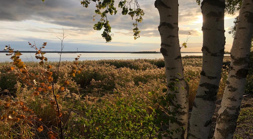 MARINA KINNUNEN POHJANMAAN HYVINVOINTIALUE MALLIN VALMISTELU BEREDNING AV MODELL FÖR