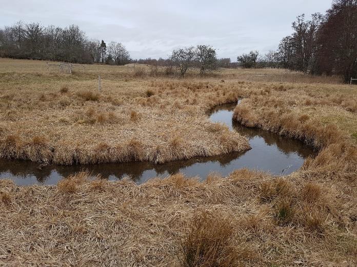 HyMotyp Ursprunglig HyMotyp Vattendrag i finkorniga sediment (Ex) E-vattendragen är typiska meandrande vattendrag med finkornigt substrat (grus eller finare).