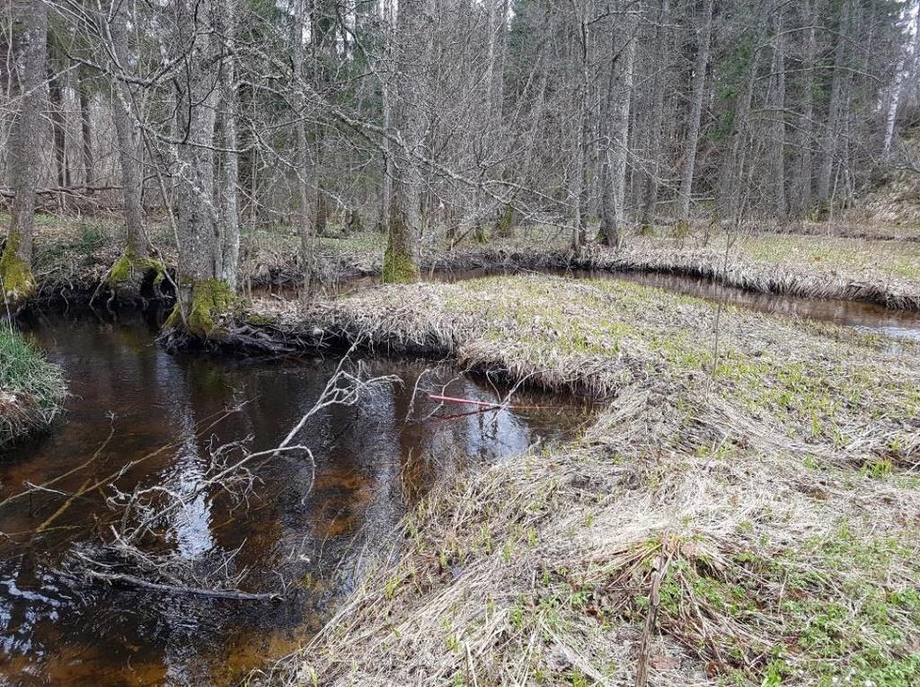 A21-Svämplanets översvämningsfrekvens Aktivt svämplan: Ja Recent terrass: Nej