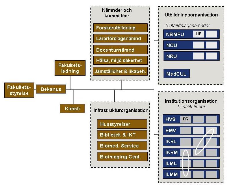 Dnr 2012/603 3 1 Organisation 1.