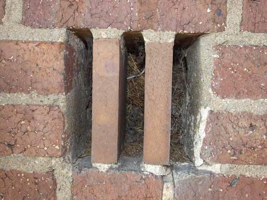 En av alla ventilationsöppningar som var igensatta med
