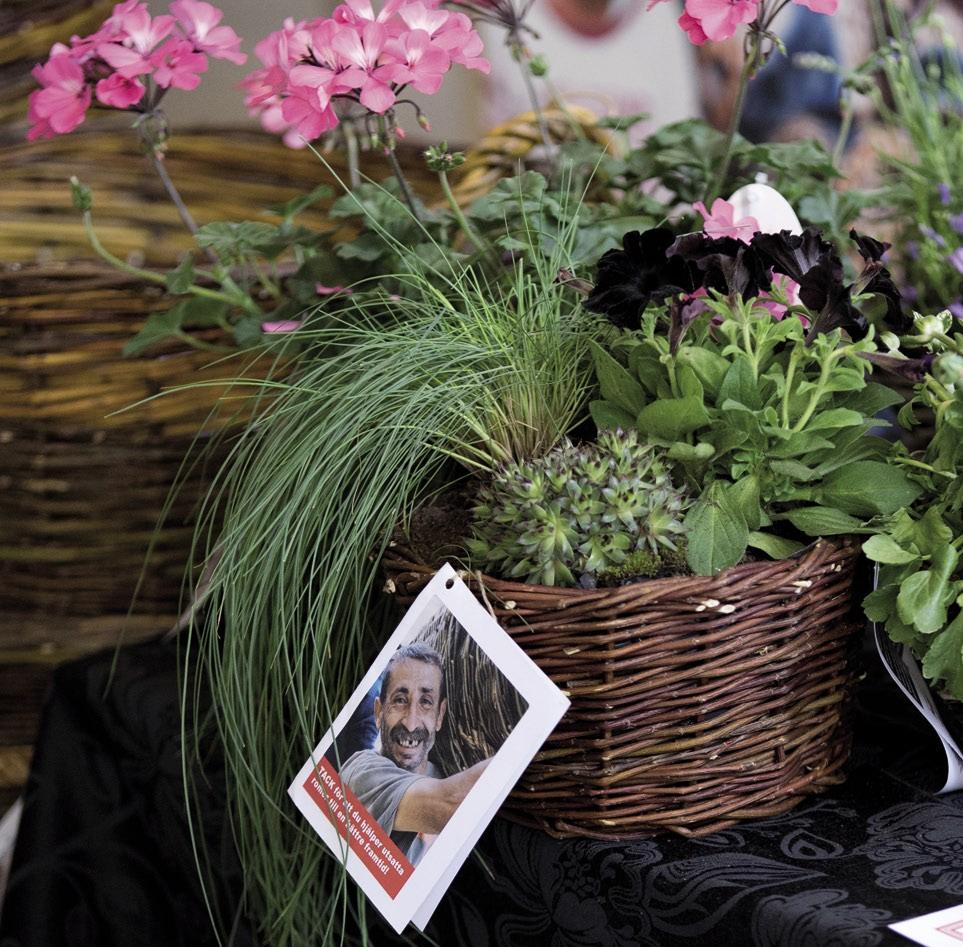 Blommor planterade i korgar från Hjärta till Hjärtas
